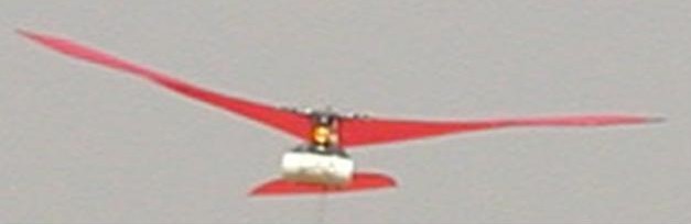ornithopteres2.JPG