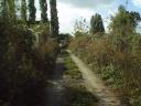 Le Terrain