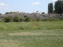 DSCN0786.JPG