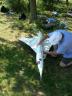 DSCN0041_JPG.jpg